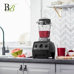 Vitamix Explorian E310