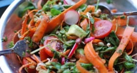 Kimberly Snyder's Oil Free Red Pepper and Cilantro Dressing Recipe in a Blendtec or Vitamix from @BlenderBabes
