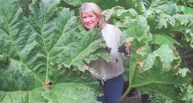 Martha Stewart's Green Juice Recipe by @BlenderBabes