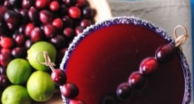 Cranberry Margarita Recipe from Blender Babes