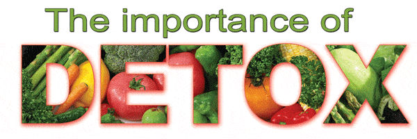 Blender Babes Juice Cleanse Recipes are Important for Detoxing