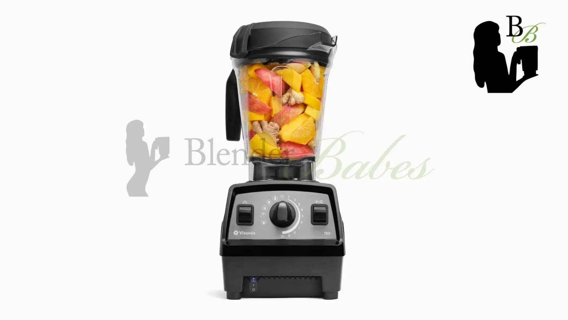 Vitamix Pro 750 Vitamix Pro 750