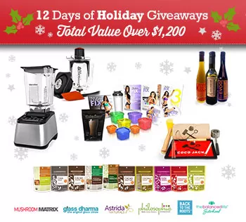 Blender Babes Christmas Holiday Giveaway