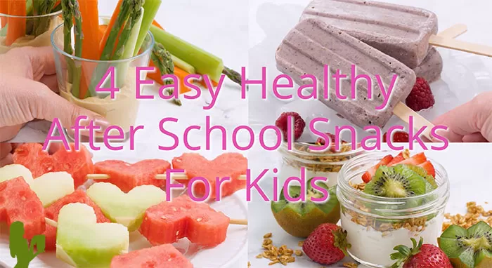 Healthy After School Snacks for Kids