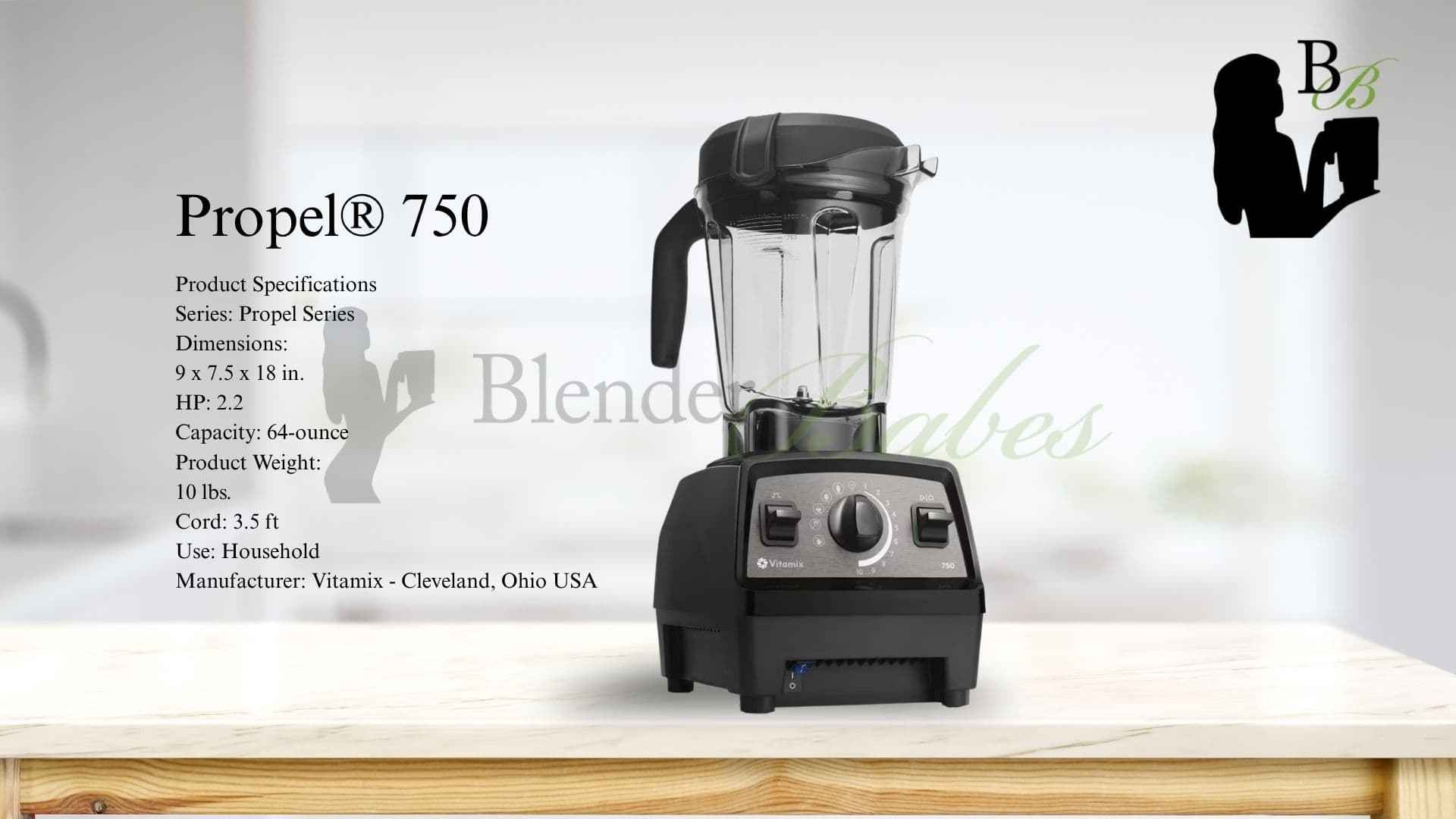Vitamix Pro 750 Review Professional Series Blender