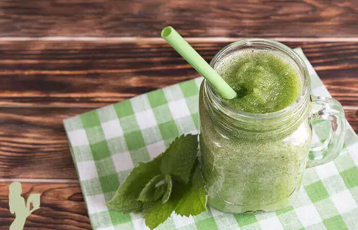 Apple Melon Mint Juice Recipe by @BlenderBabes