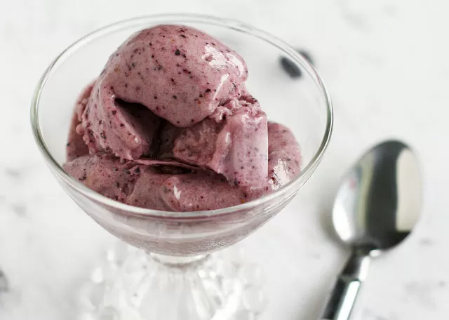 Blendtec and Vitamix Ice Cream Recipes | Banana Blueberry Ice Cream