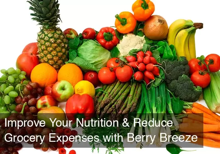 Improve Your Nutrition & Reduce Grocery Expenses with Berry Breeze