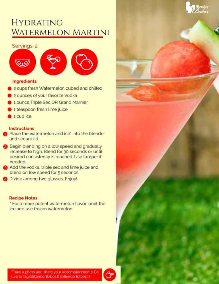 Quick and Healthy Blender Recipes eBook Bundle Blender Babes