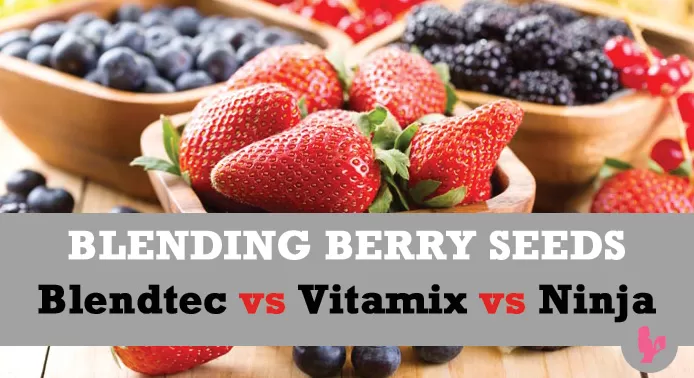 Blending Raspberry, Blackberry & Other Berry Seeds ~ Blendtec vs Vitamix vs Ninja by @BlenderBabes