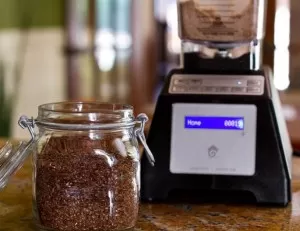 Blendtec Blenders Review, Promo Code PLUS FREE GIFT @BlenderBabes