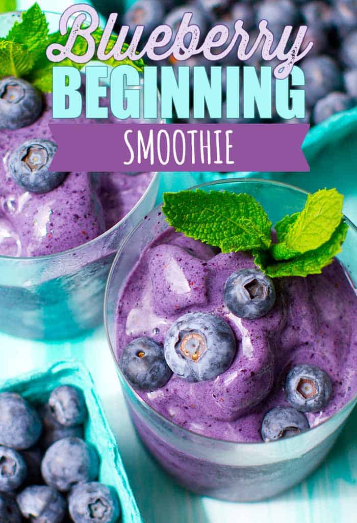 Blueberry Smoothies from 365 Vegan Smoothies via @BlenderBabes #blueberrysmoothie #smoothiesforkids #simplesmoothies #vegansmoothies #blenderbabes