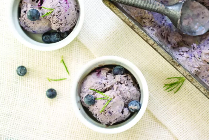 Blueberry Rosemary Ice Cream Recipe | The Paleo Kitchen Cookbook | @BlenderBabes