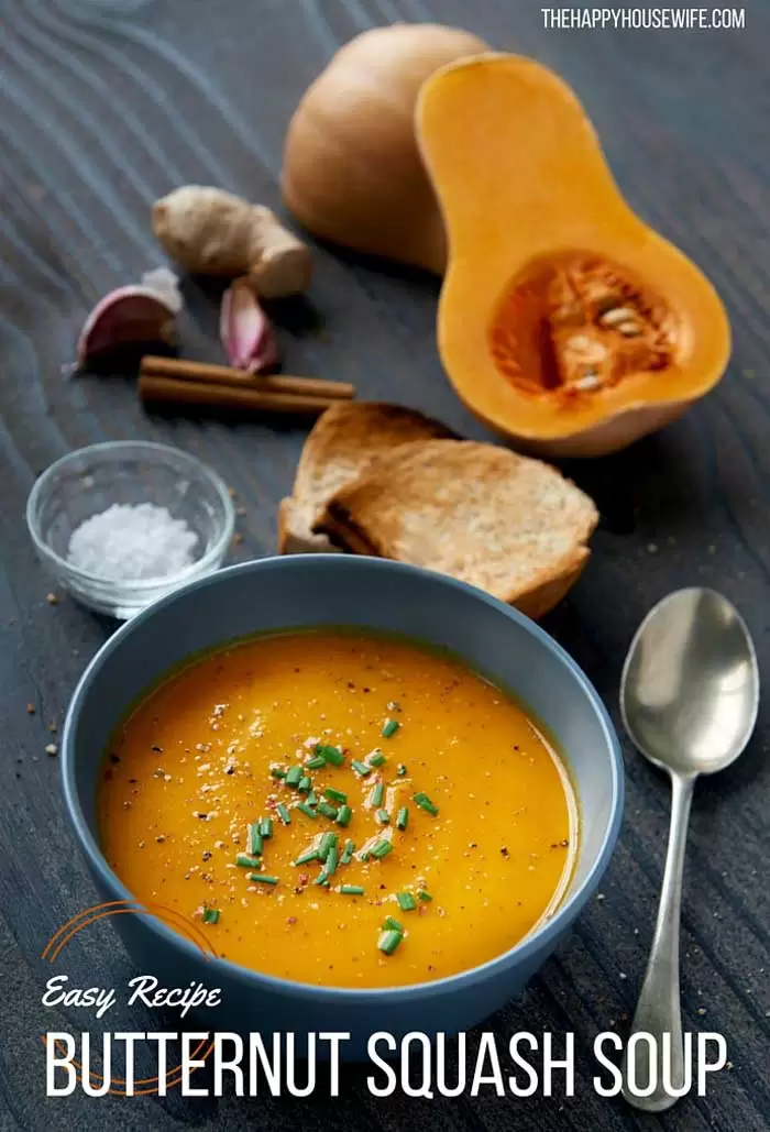 Easy Blendtec and Vitamix Soup Recipes That You Can Make In Any Blender Butternut Squash Soup