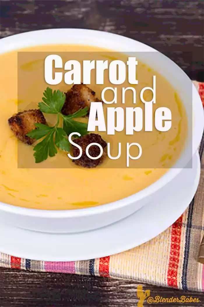 Healthy Easy Carrot Apple Soup Blender Recipe 