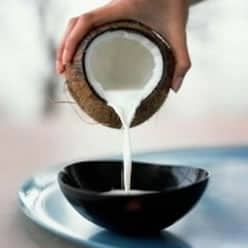 Coconut milk substitute