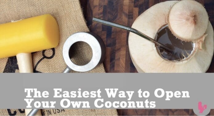 How to open a coco with this coconut opener