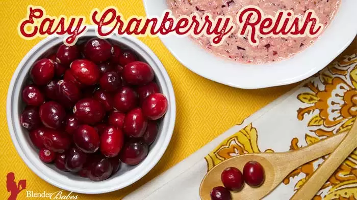 Easy Cranberry Relish Recipe Quickly Made In Your Blender by @BlenderBabes