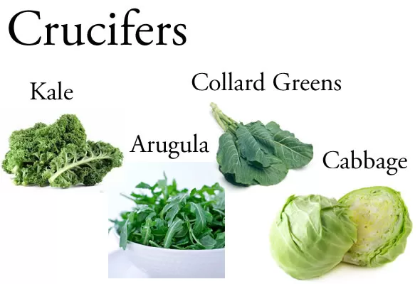 Crucifers: Why @BlenderBabes Wants You to Rotate Your Greens