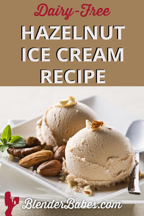 DairyFree Hazelnut Ice Cream Smoothie Recipe