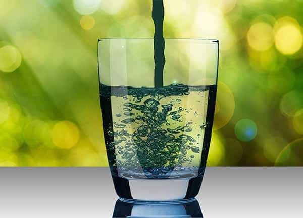 E3Live Benefits - Why You Should Buy This Blue Green Algae SUPERfood