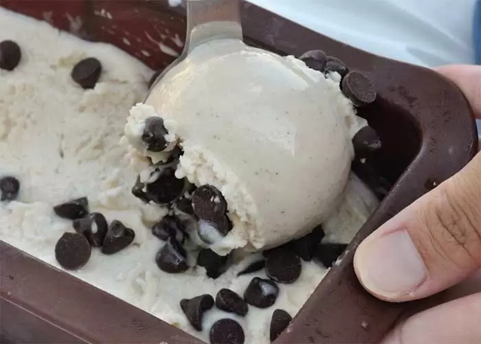 Blendtec and Vitamix Ice Cream Recipes | Easy Vegan Ice Cream