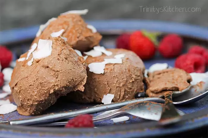 Blendtec and Vitamix Ice Cream Recipes | No Churn Chocolate Ice Cream