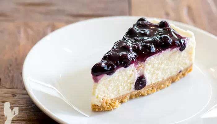 Frozen Blueberry Dairy-Free Cheesecake Recipe