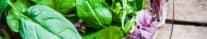 Dr. Fuhrman's Got Greens Smoothie by @BlenderBabes