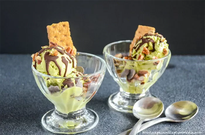 Blendtec and Vitamix Ice Cream Recipes | Mint Chocolate Chip Ice Crea