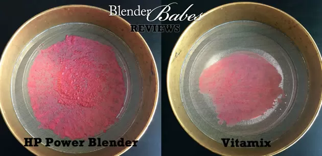 Harley Pasternak vs Vitamix Berry Seed Comparison Test Test by @BlenderBabes