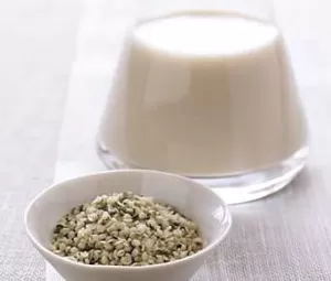 Hemp Milk Substitute