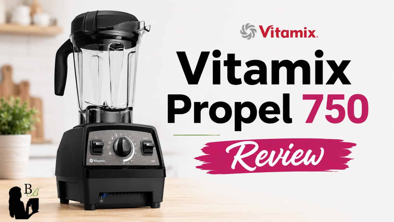 Vitamix Pro 750 Review Professional Series Blender
