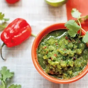 Fermented Hot Sauce Recipe for GAPS Diet from Heal Your Gut Cookbook