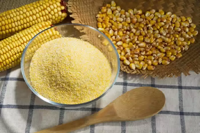 How to Make Fresh Cornmeal by @BlenderBabes