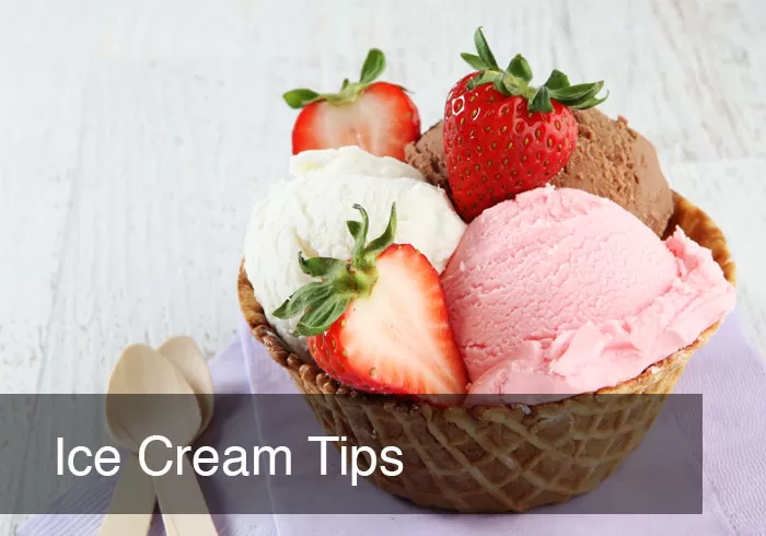 BLENDTEC AND VITAMIX ICE CREAM TIPS by @BlenderBabes