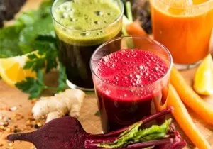 La Revision #1 en la Web Blendtec vs Vitamix @BlenderBabes