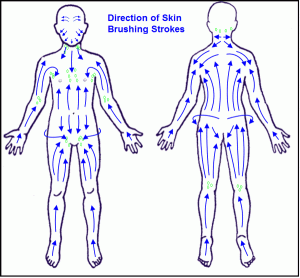 Lymph-skin-brushing