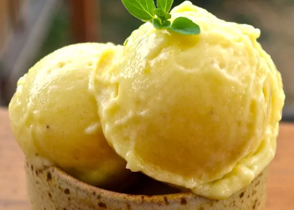 Blendtec and Vitamix Ice Cream Recipes | Mango Banana Ice Cream