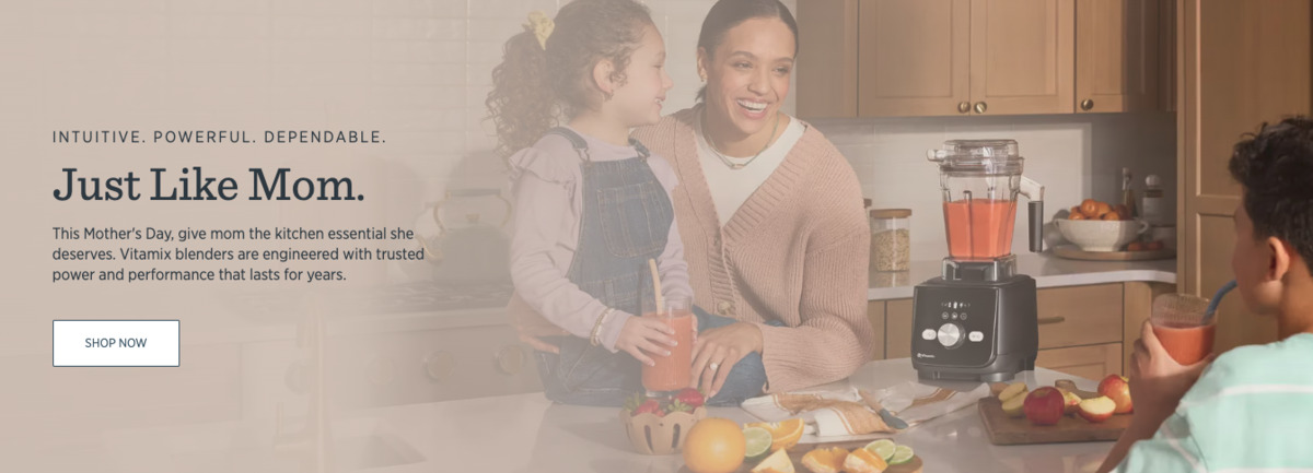 Mothers Day Sale Vitamix no price homepage Mother's Day Vitamix Sales