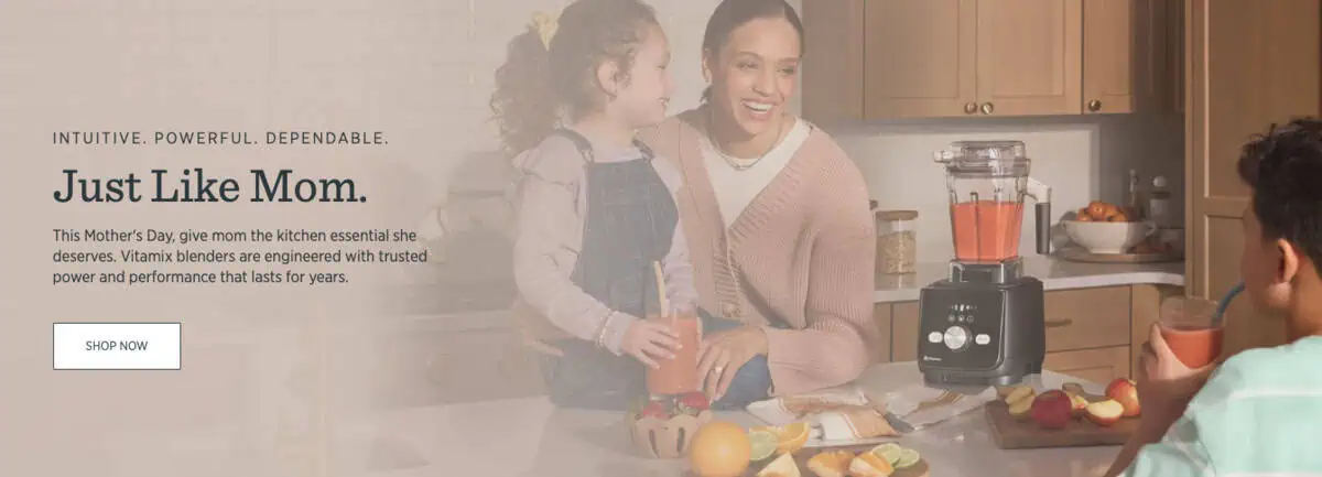 Mothers Day Sale Vitamix no price homepage Mother's Day Vitamix Sales