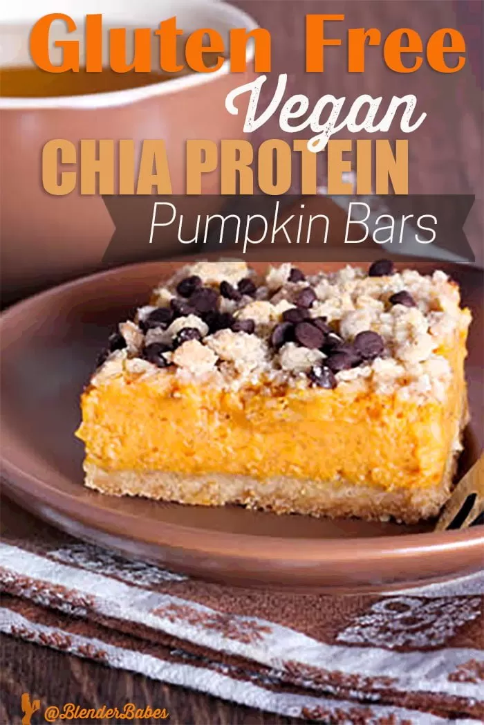 Gluten Free Vegan Chia Protein Pumpkin Bars Blender Recipe 