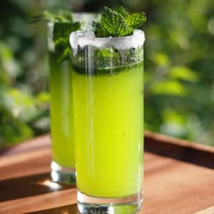 Nojitos - Non Alcoholic Mojito Recipe by @BlenderBabes