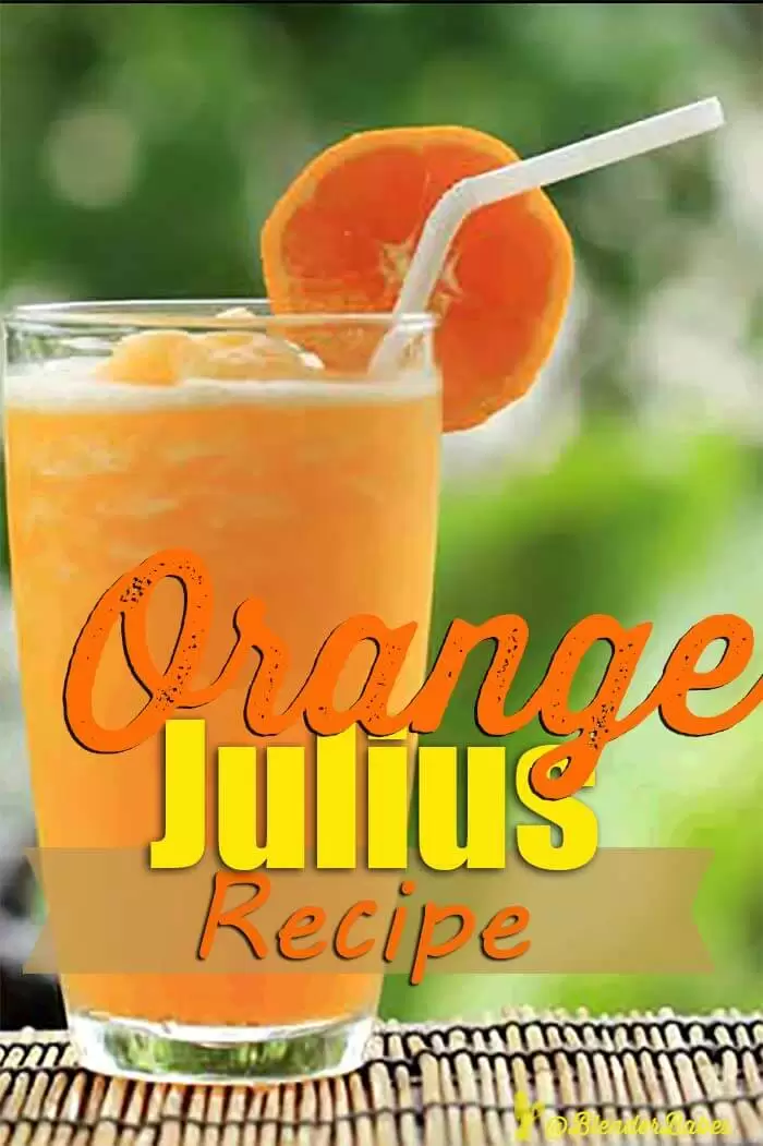 Orange Julius Blender Recipe 
