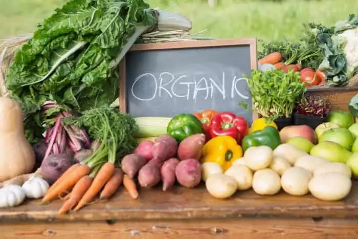 Organic Food for Juicers