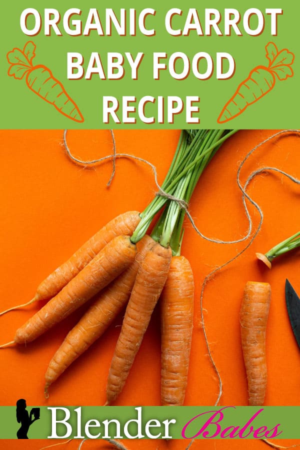 Organic carrot baby food recipe