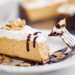 Reduced Calorie Pumpkin Cheesecake & Gingersnap Crust Recipe by @BlenderBabes