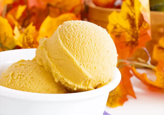 Homemade Skinny Pumpkin Pie Ice Cream Recipe made in a blender by @BlenderBabes