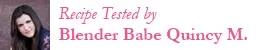 Blender Babes Vitamix vs Blendtec blender recipe tester
