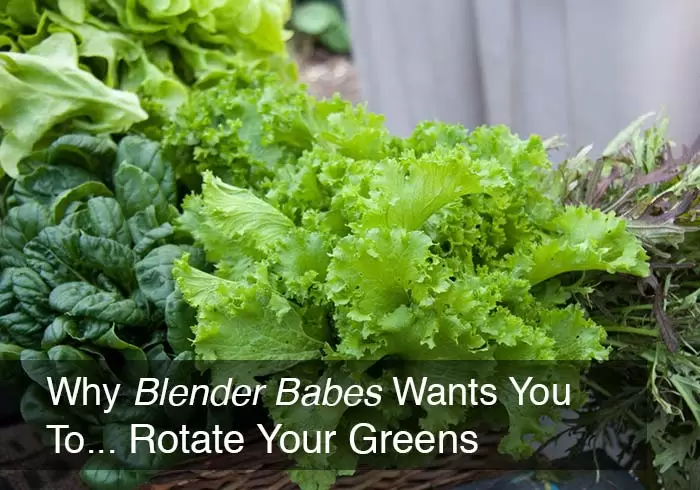 How and Why Blender Babes Wants You to Rotate Your Greens for smoothies